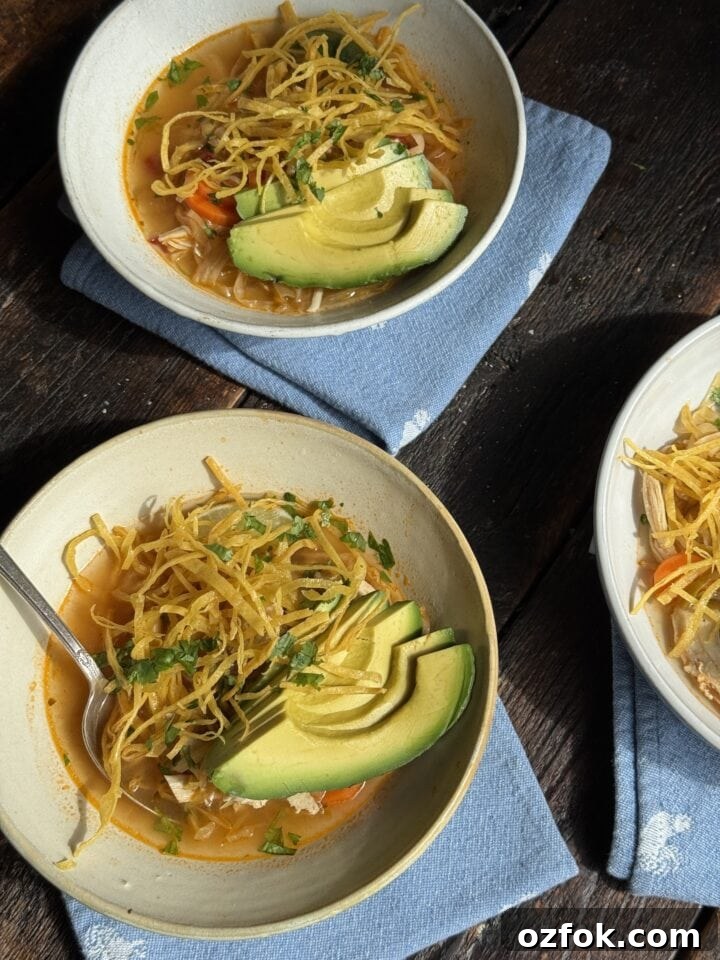 Spicy Chicken Soup Recipe: Flavorful Homemade Chicken Stew 2 a photo of three bowls of tortilla soup with chicken