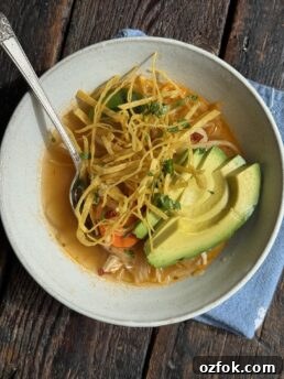 a photo of a bowl of spicy chicken soup
