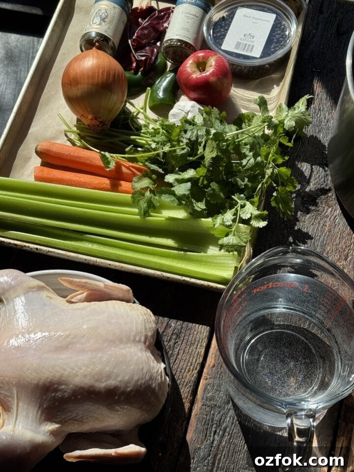 Spicy Chicken Soup Recipe: Flavorful Homemade Chicken Stew 3 a photo of the ingredients for spicy chicken soup
