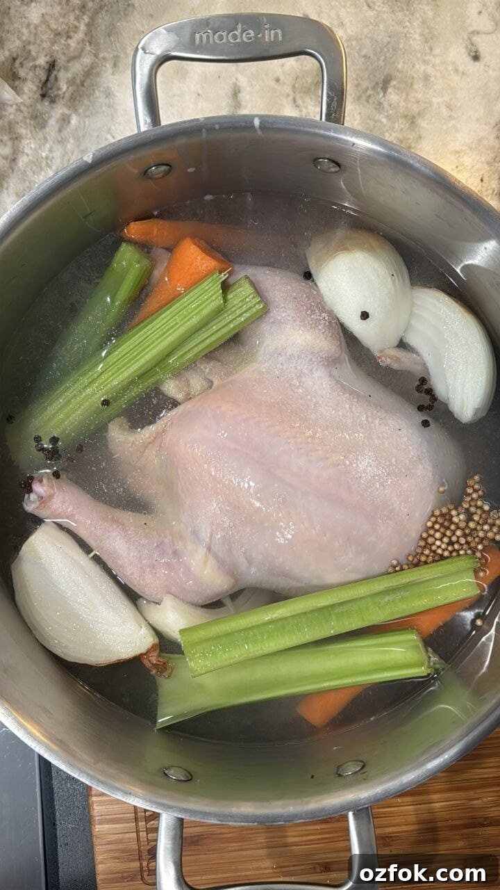 Spicy Chicken Soup Recipe: Flavorful Homemade Chicken Stew 5 a photo of the broth cooking in a pot