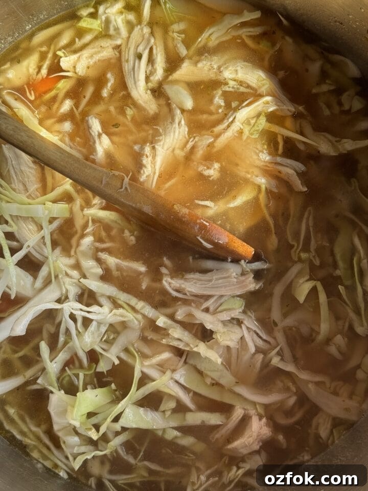 Spicy Chicken Soup Recipe: Flavorful Homemade Chicken Stew 9 a photo of chicken added to spicy broth