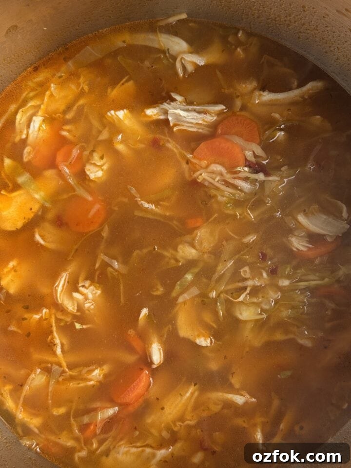 Spicy Chicken Soup Recipe: Flavorful Homemade Chicken Stew 10 a photo spicy chicken soup in a pot