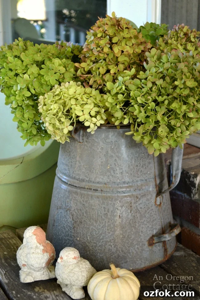 Natural Neutral Fall Porch Decorating Ideas for Cozy Curb Appeal 3 Easy Fall Porch Decor 2015-galvanized pitcher and hydrangeas