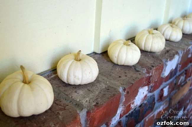 Natural Neutral Fall Porch Decorating Ideas for Cozy Curb Appeal 9 Easy Fall Porch Decor-baby boo pumpkins