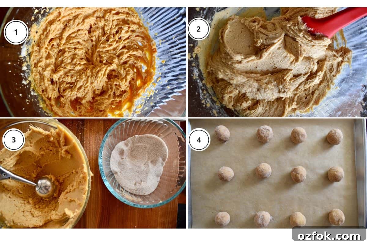 Process shots showing how to make recipe including rolling the dough in cinnamon sugar. 