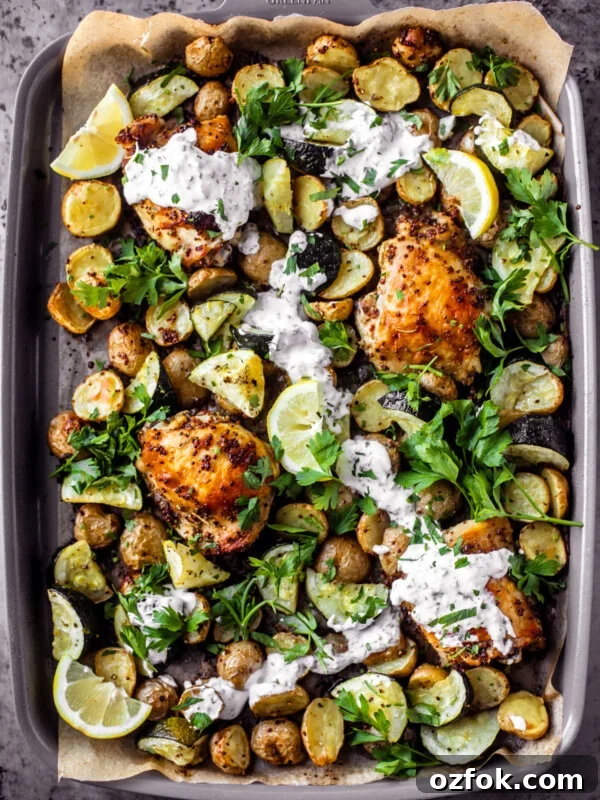 Greek Sheet-Pan Chicken with Tangy Feta and Roasted Veggies 12 Sheet pan covered in roasted chicken thighs, zucchini, potatoes, with a drizzle of yogurt sauce and fresh herbs.