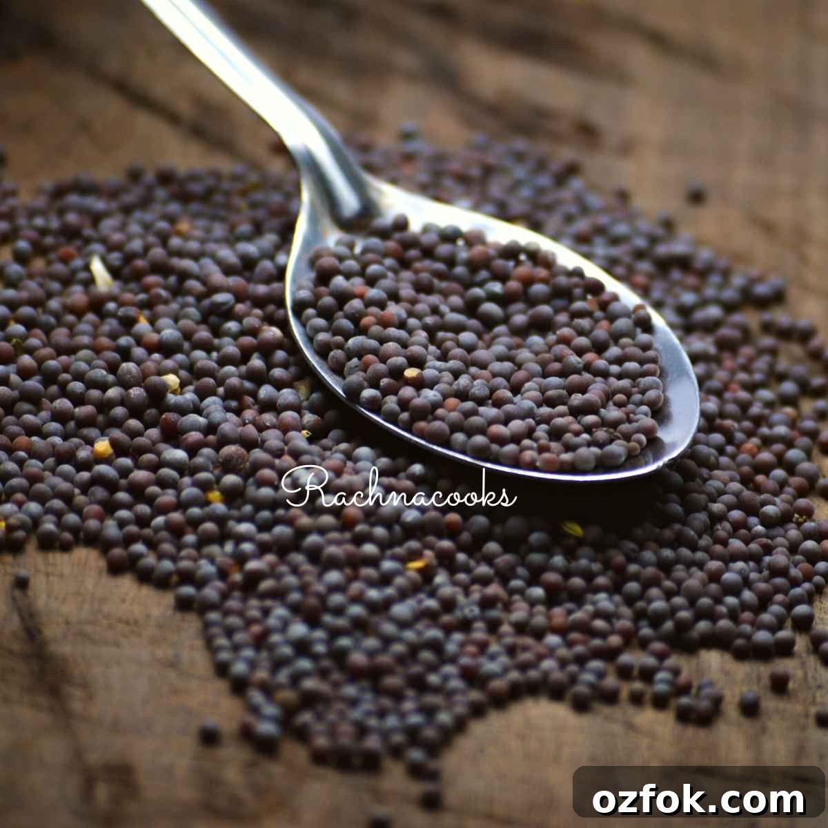 7 Alternatives to Black Mustard Seeds for Cooking and Pickling 2 Black mustard seeds in a spoon with some scattered on a frame.