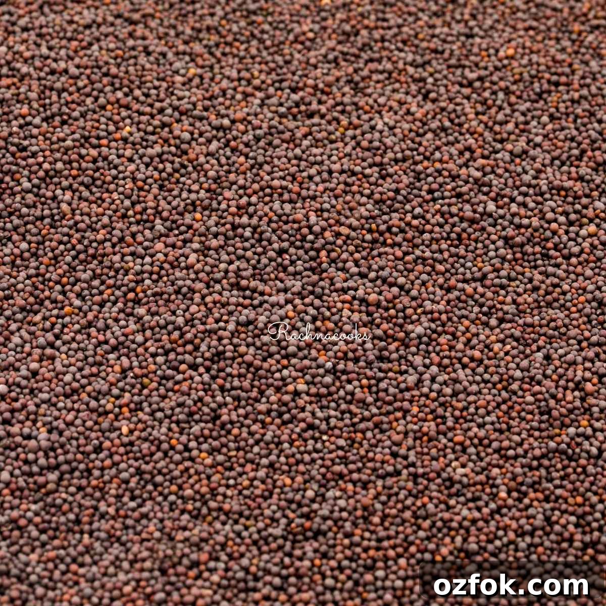7 Alternatives to Black Mustard Seeds for Cooking and Pickling 3 Brown mustard seeds in a frame