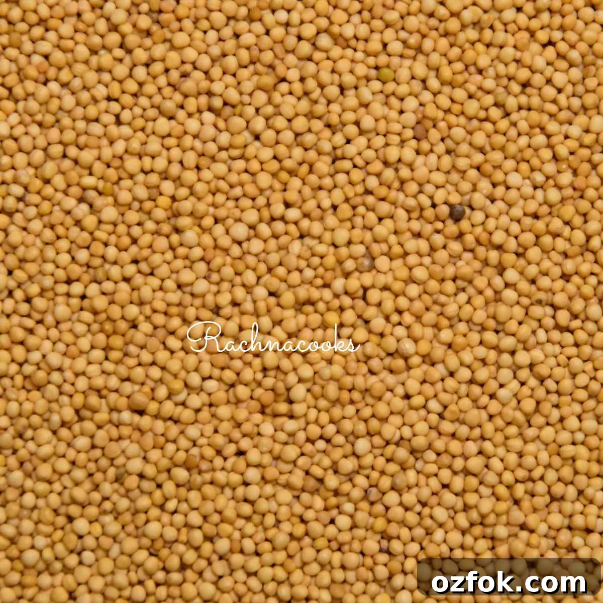 7 Alternatives to Black Mustard Seeds for Cooking and Pickling 4 Yellow mustard seeds in a frame