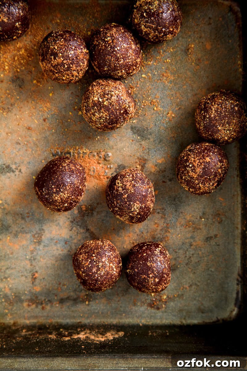 Raw Chocolate Omega Bliss Balls Recipe for Energy & Heart Health 2 Chocolate Omega Bliss Balls