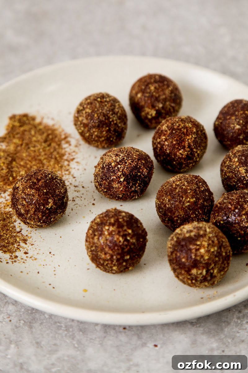Raw Chocolate Omega Bliss Balls Recipe for Energy & Heart Health 4 Chocolate Omega Bliss Balls