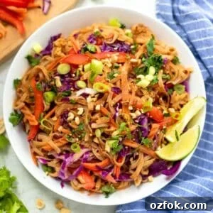 Authentic Thai Noodle Recipes You Can Make at Home 2 Bowl filled with Thai noodles tossed with peanut sauce and cabbage, peppers, cilantro, green onions, topped with sesame seeds and peanuts.