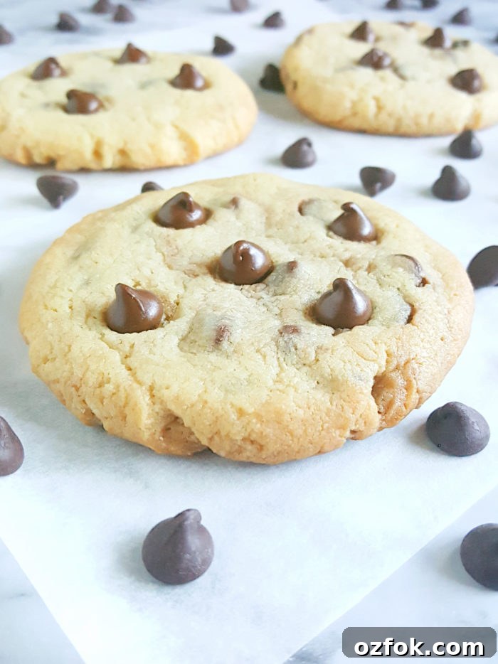 Soft Cream Cheese Chocolate Chip Cookie Recipe for Extra Chewy Texture 2 Soft Cream Cheese Chocolate Chip Cookies - homemade cookies with cream cheese and no eggs