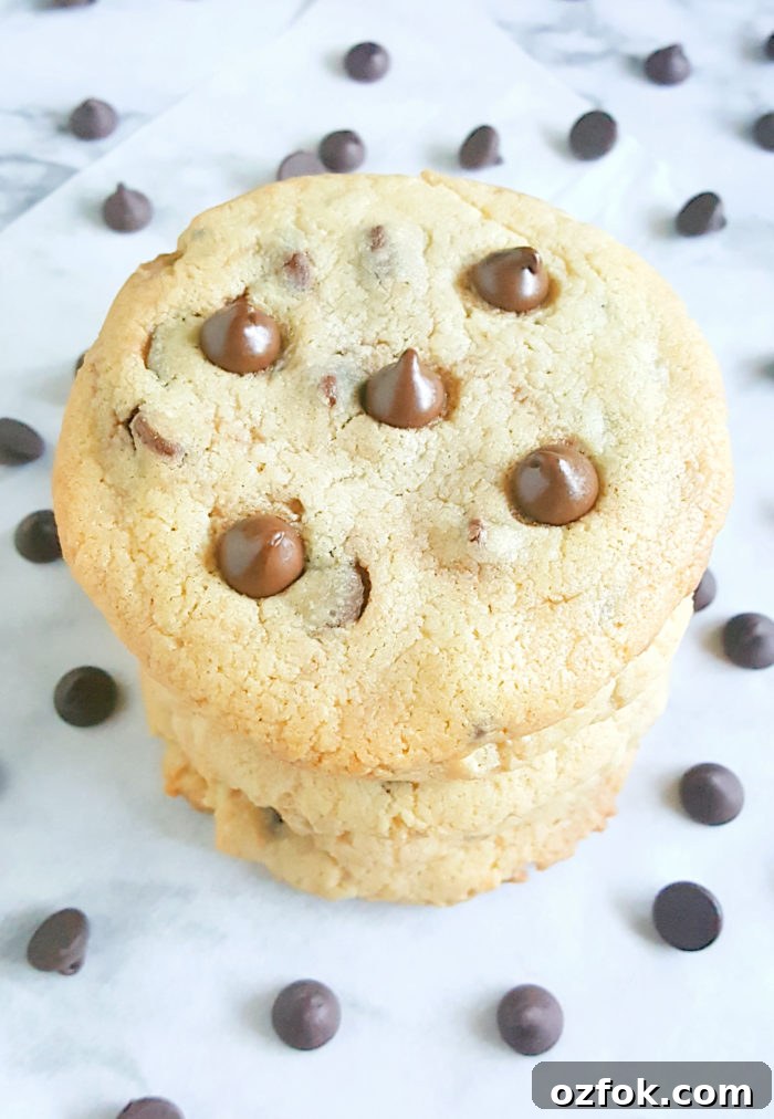 Soft Cream Cheese Chocolate Chip Cookie Recipe for Extra Chewy Texture 3 Soft Cream Cheese Chocolate Chip Cookies - edible dough, soft cookies