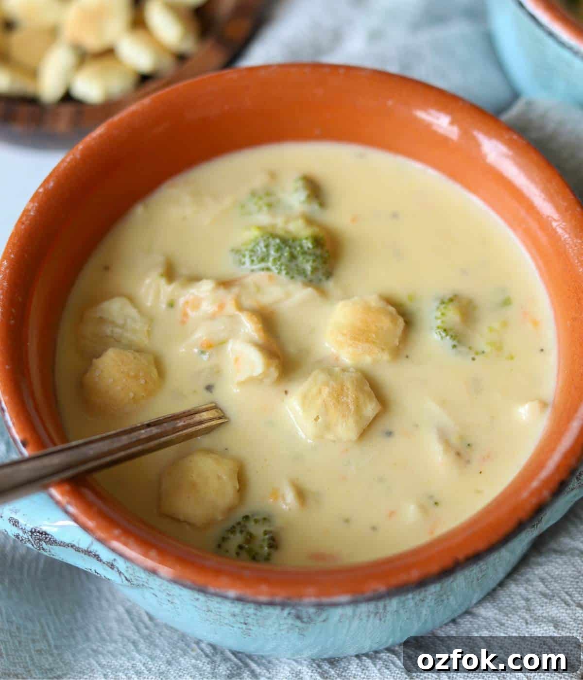 12 Quick Weeknight Dinners Made with Rotisserie Chicken 12 Broccoli cheddar chicken soup topped with crackers.