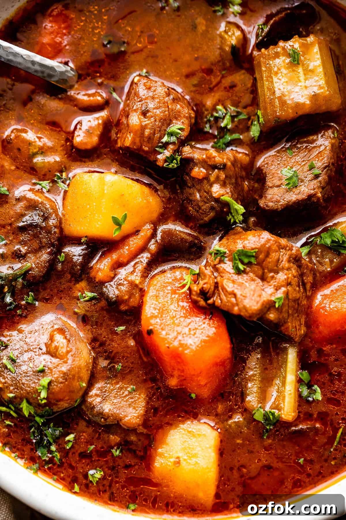 This hearty, Irish inspired Guinness Beef Stew is packed with tender beef, potatoes, carrots, and mushrooms, all cooked in a thick, delicious savory broth. close up shot of guinness beef stew in a bowl.