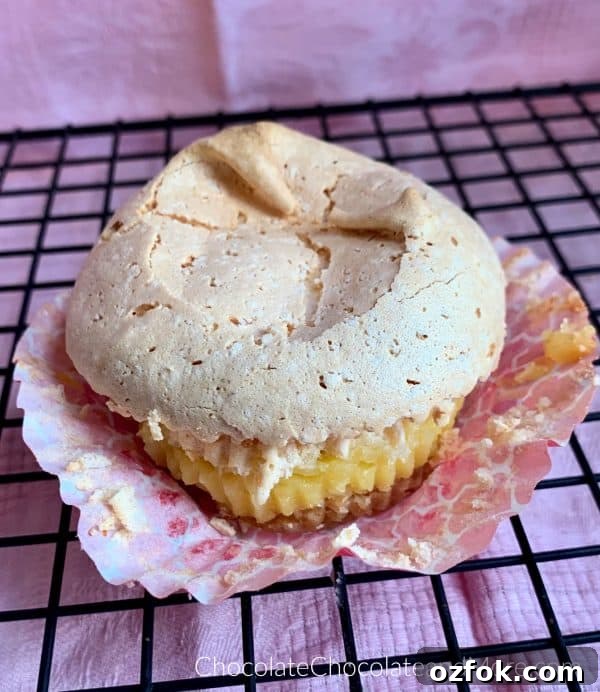 Vanilla Wafer Meringue Pie Cups Vanilla Wafer meringue Pie Cup sitting on a metal cooling rack with a pink background.