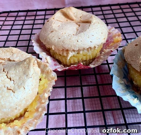 Vanilla Wafer Meringue Pie Cups Vanilla Wafer meringue Pie Cups sitting on a metal cooling rack with a pink background.