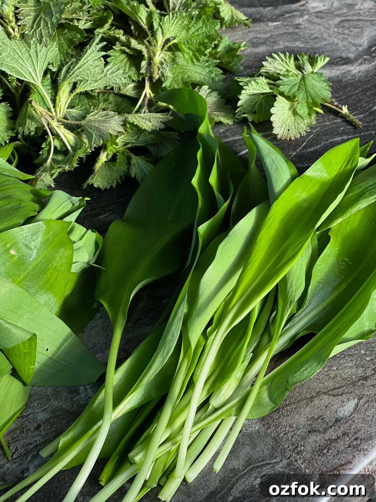 Wild Garlic and Nettle Soup Recipe: Creamy Spring Foraging Bowl 4 Fresh wild garlic and nettles