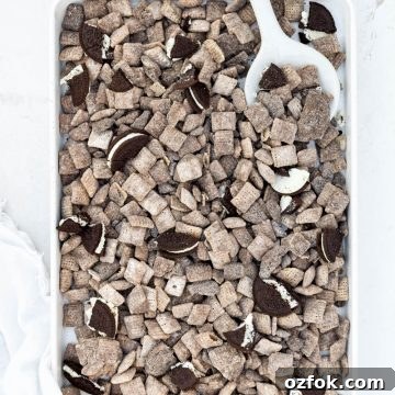 Oreo Muddy Buddies (Oreo Puppy Chow) — No-Bake Chocolate Snack 12 finished oreo puppy chow