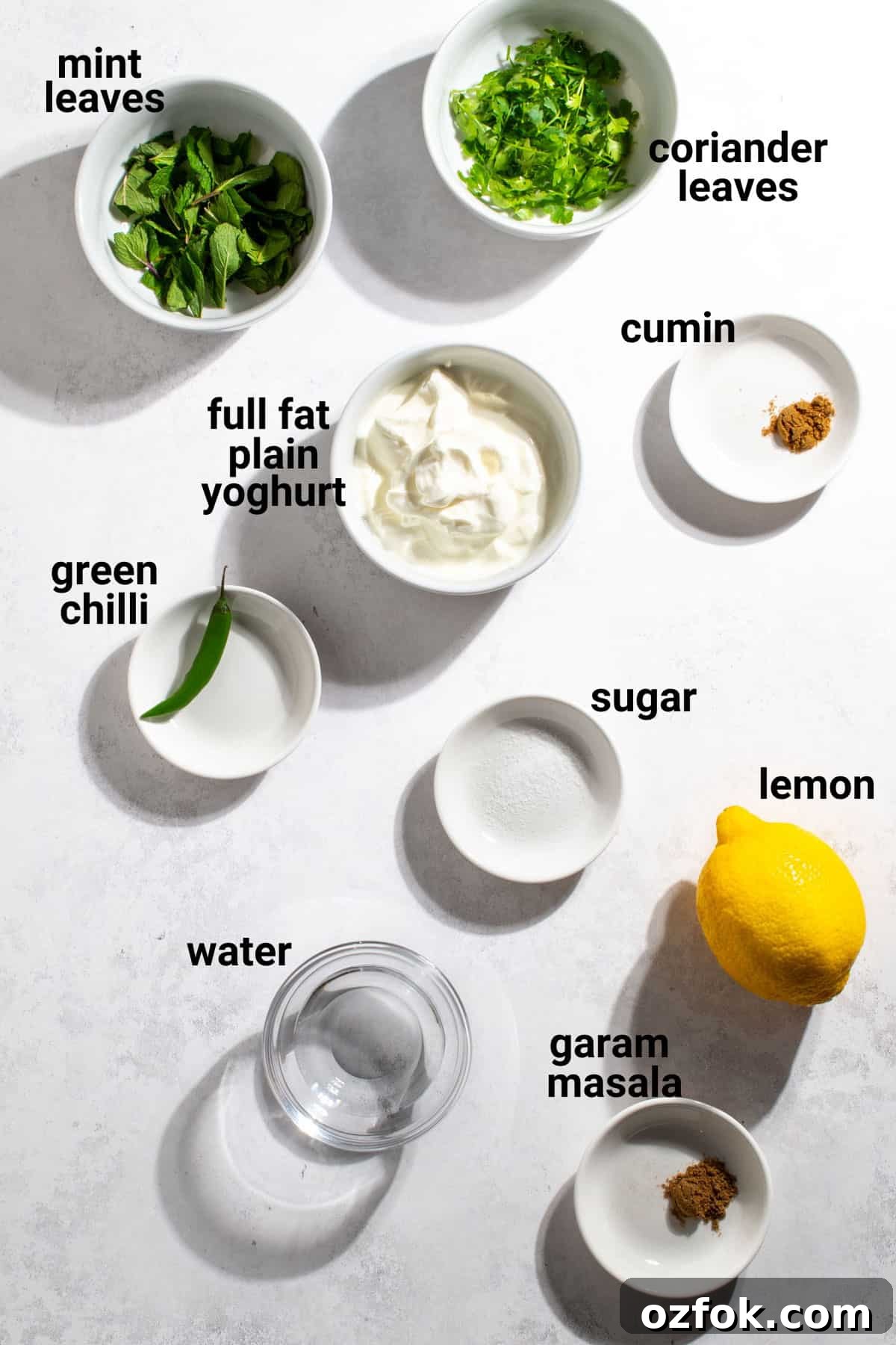 Authentic Indian Mint Chutney Recipe for Grilled Meats and Snacks 4 img 229917 3