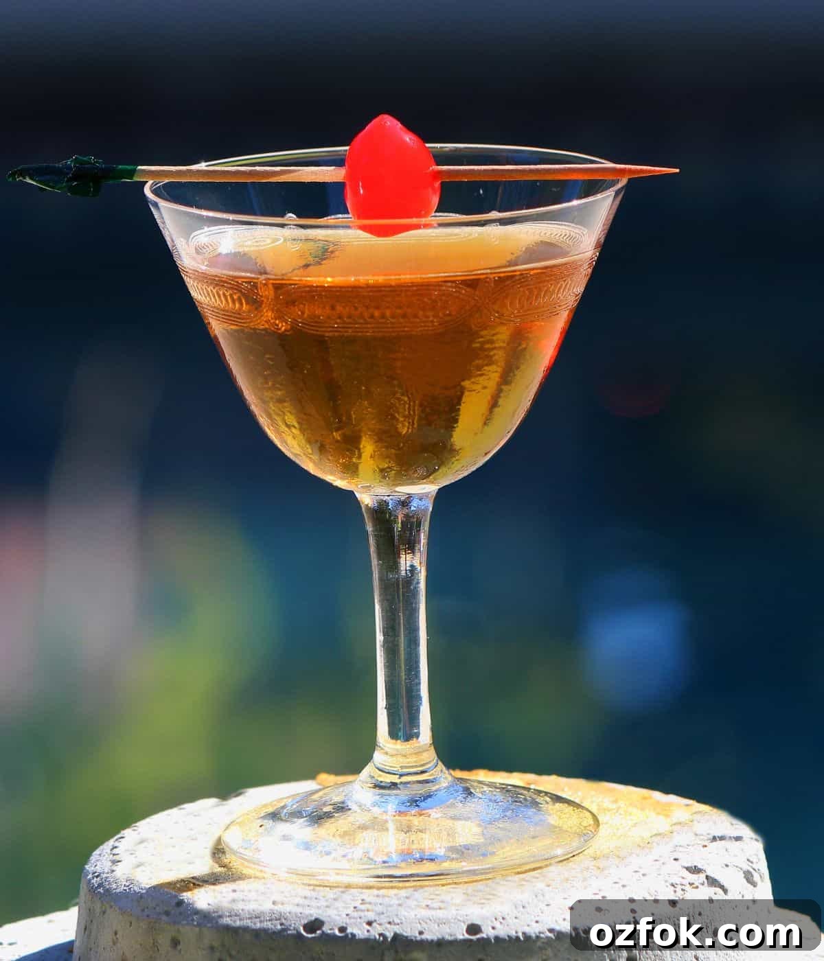 Guide to Cocktail Glasses: Styles, Uses, and Cocktail Pairings 12 Nick and nora glass with a dark cocktail and cherry on top.