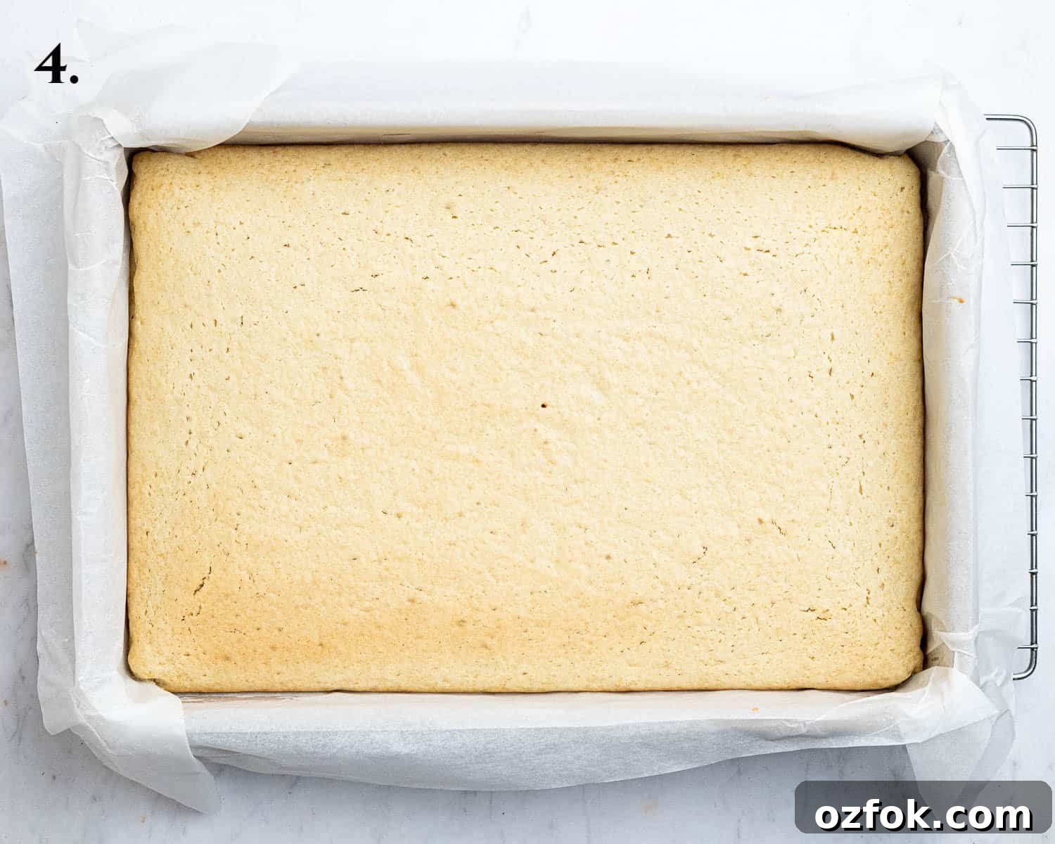 Vegan Birthday Cake Ideas for School Parties 8 Step 4, the baked cake.