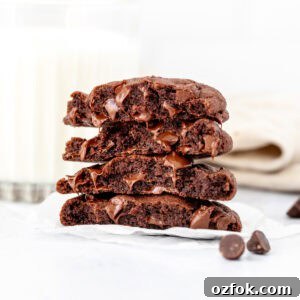Double Chocolate Cookies Recipe for Two: Small Batch Treats 7 Small batch chocolate cookies, broken in half and stacked on top of one another