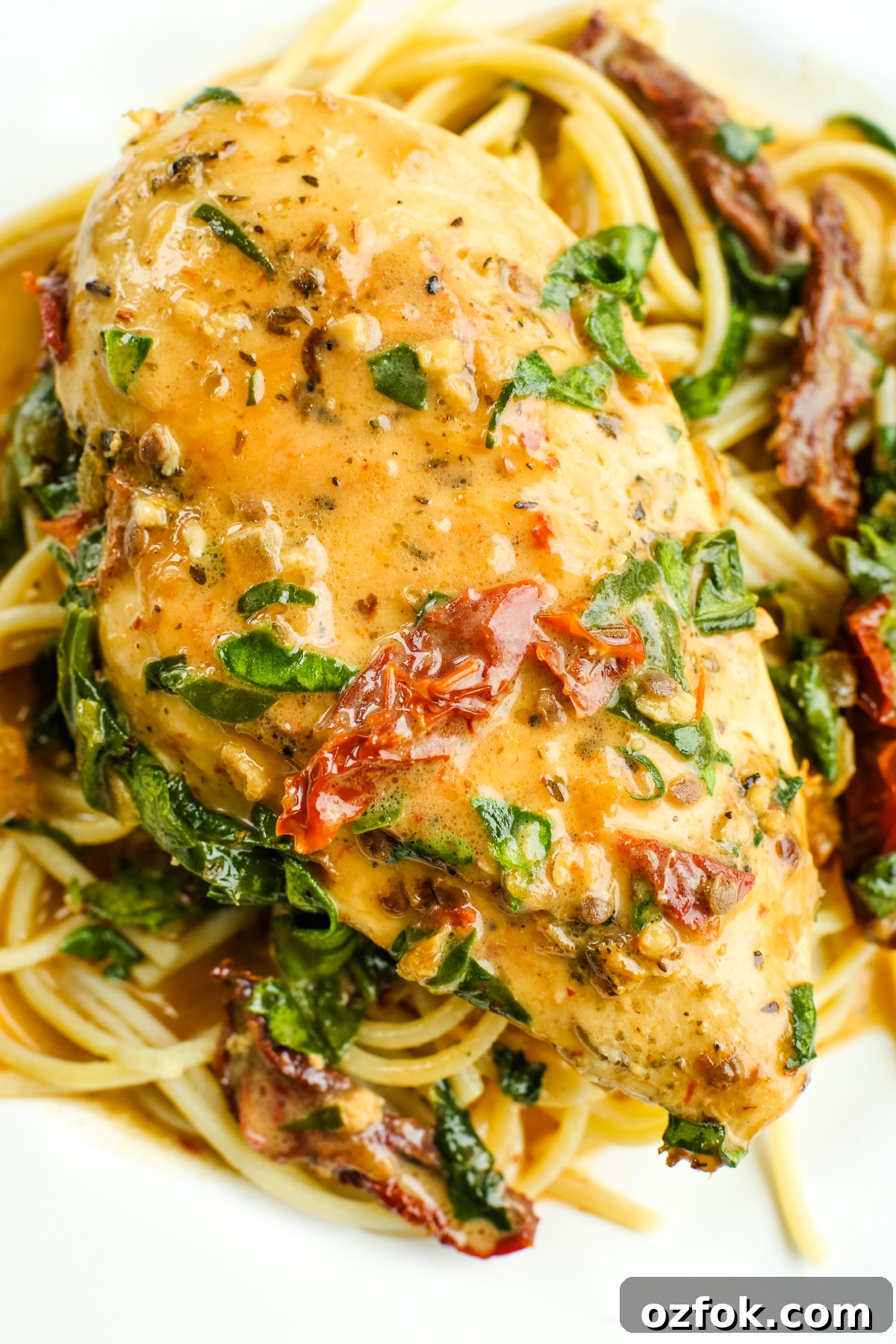 Tuscan-Style Dairy-Free Chicken with Sun-Dried Tomatoes and Herbs 2 Dairy Free Tuscan Chicken on a plate with pasta