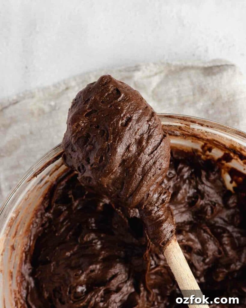 Cookie Dough Fudge Brownie Cake Recipe for Decadent Desserts 7 the prepared brownie batter on a spoon