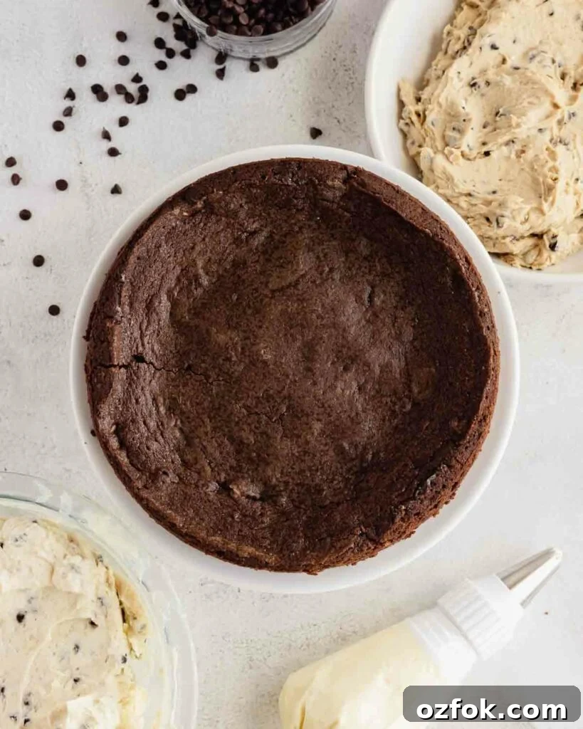 Cookie Dough Fudge Brownie Cake Recipe for Decadent Desserts 8 baked brownie layer