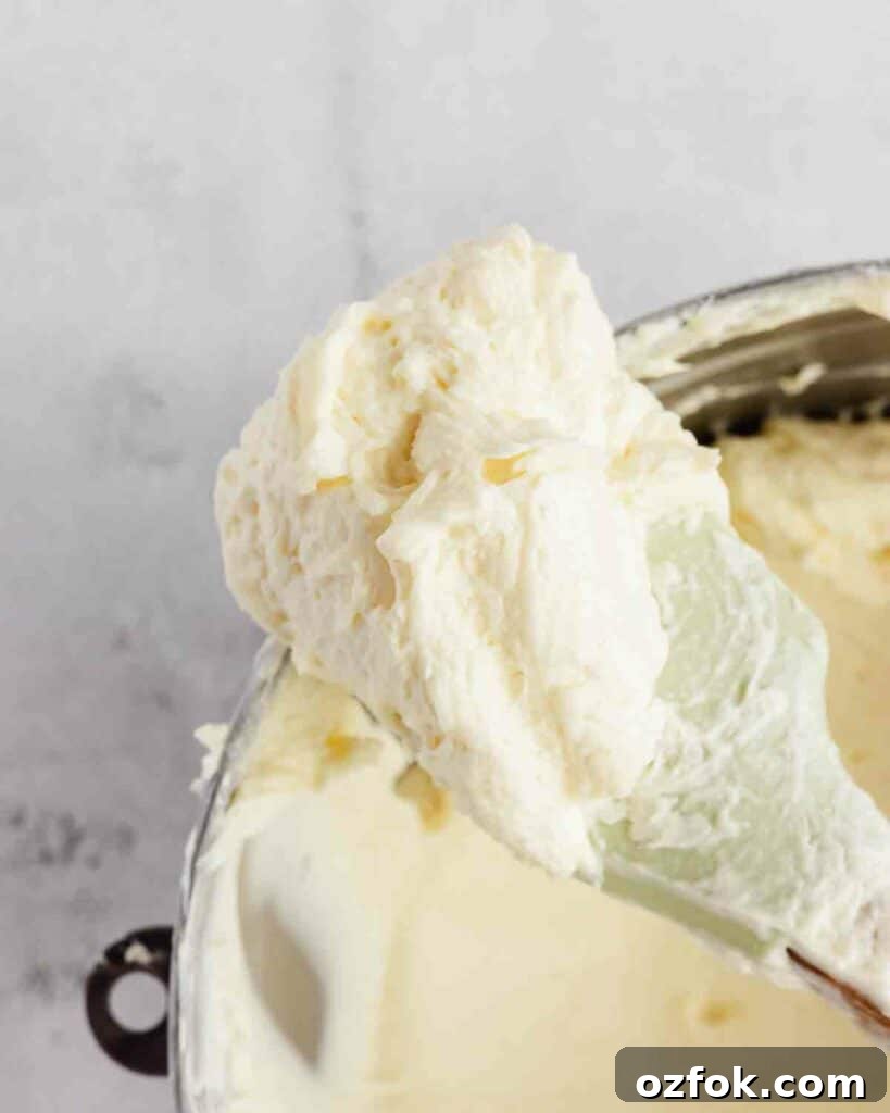 Cookie Dough Fudge Brownie Cake Recipe for Decadent Desserts 9 the prepared russian condensed milk buttercream