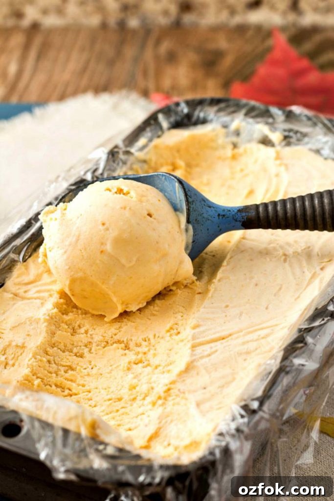 Pumpkin Cardamom Orange Ice Cream with Maple Chocolate Sauce 3 Scooping Pumpkin Cardamom-Orange No Churn Ice Cream with Maple Chocolate Sauce; © 2016 Jenni Field, Pastry Chef Online