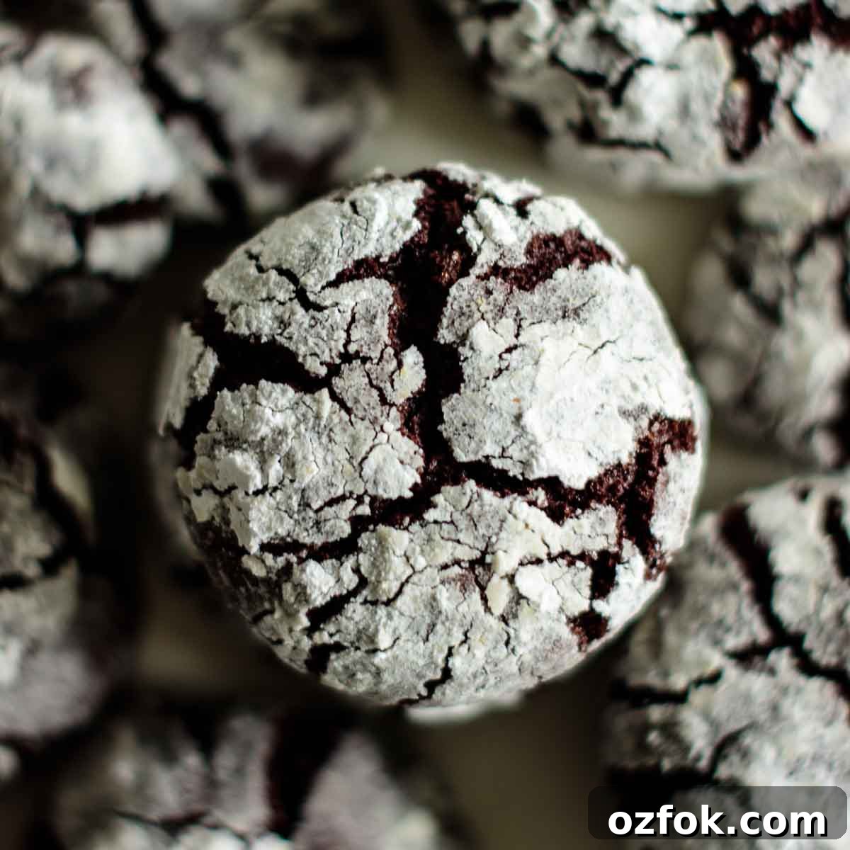 Chocolate Ginger Crinkle Cookies — Crunchy Earthquake Cookies 2 Baked chocolate crinkle cookies.