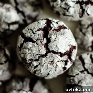 Chocolate Ginger Crinkle Cookies — Crunchy Earthquake Cookies 12 baked chocolate crinkle cookies, close up on crinkle cracks