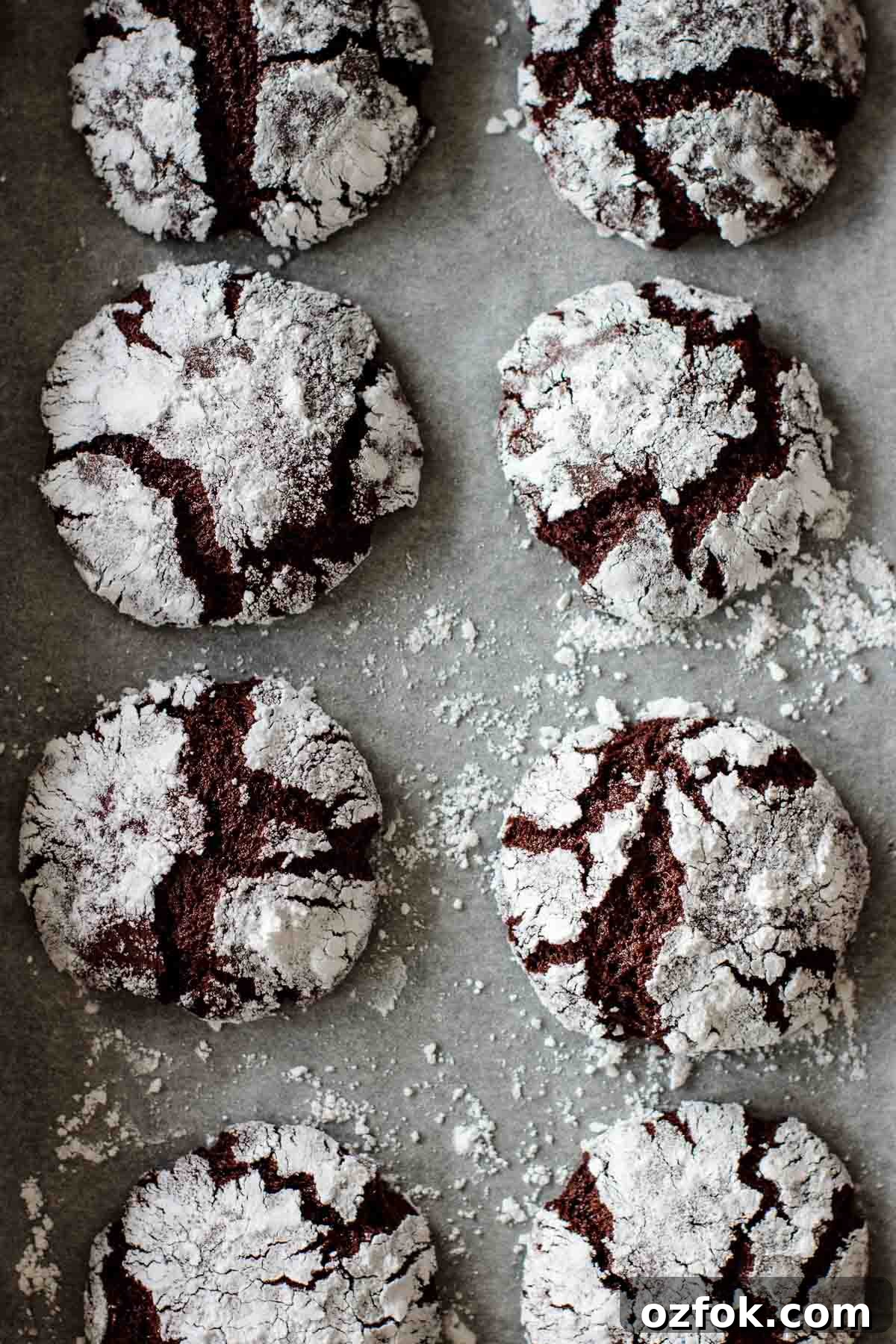 Chocolate Ginger Crinkle Cookies — Crunchy Earthquake Cookies 6 A baking sheet full of baked chocolate crinkles.