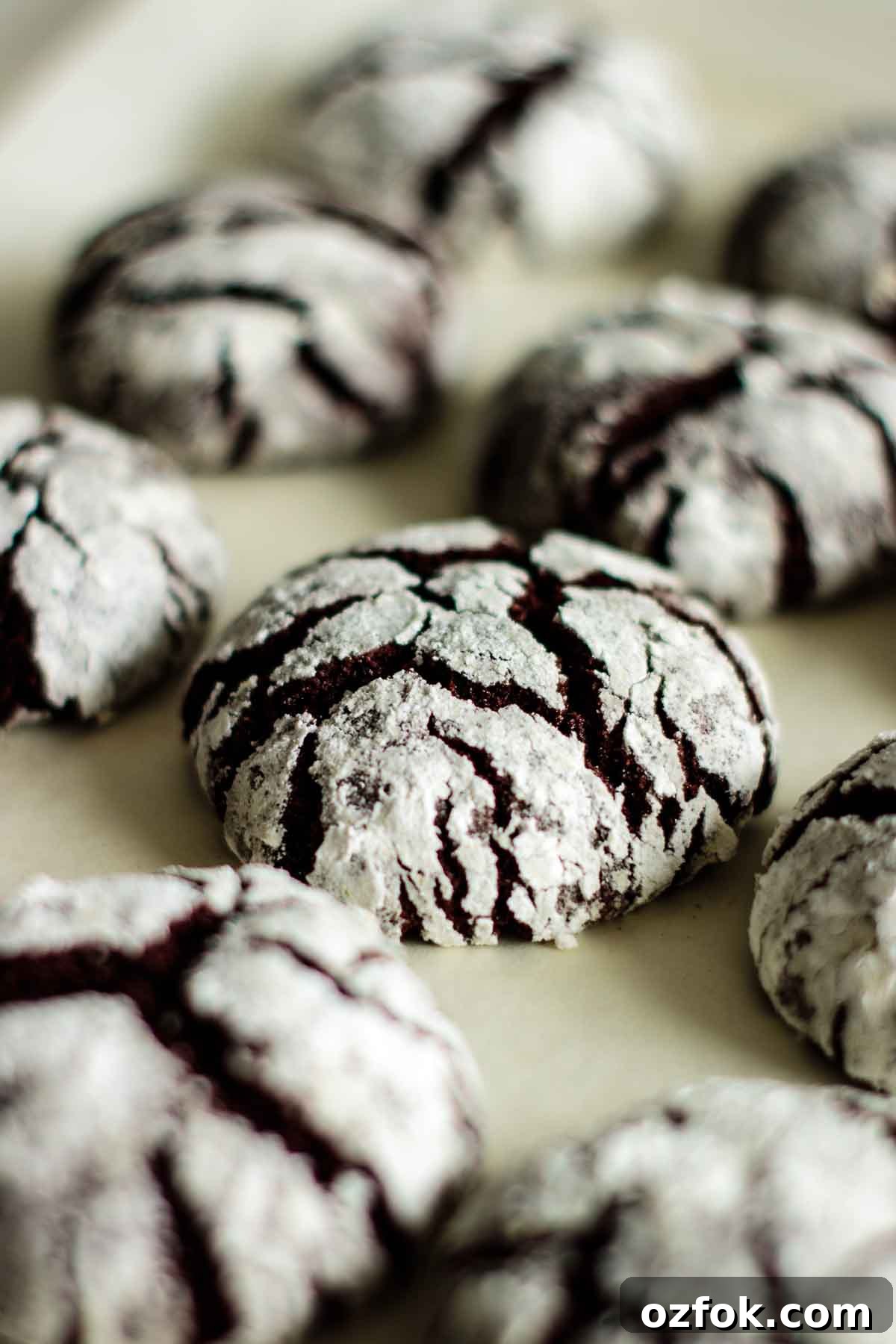 Chocolate Ginger Crinkle Cookies — Crunchy Earthquake Cookies 7 Chocolate crinkle cookies in a baking pan.