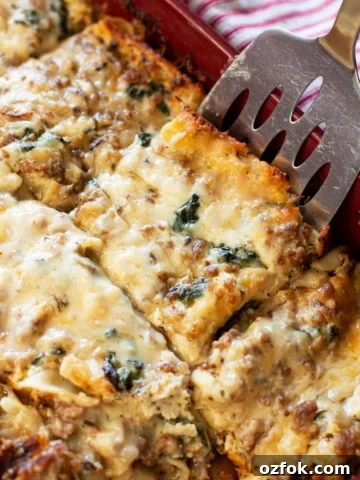 White Sauce Lasagna Recipe