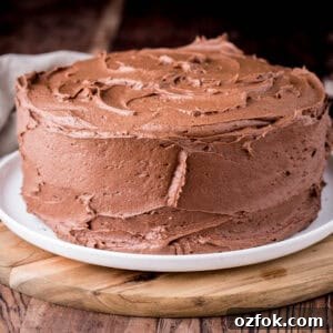 Decadent Chocolate Fudge Buttercream Recipe for Perfect Cakes 10 Chocolate Buttercream covering a chocolate layer cake.