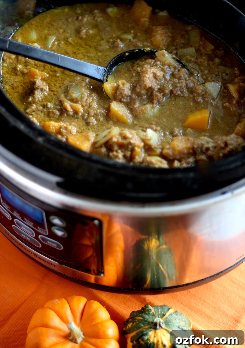Crockpot Beef Pumpkin Curry (AIP) - a nightshade-free curry featuring ground beef, pumpkin, butternut squash, turmeric, and coconut milk! YUM! | fedandfulfilled.com