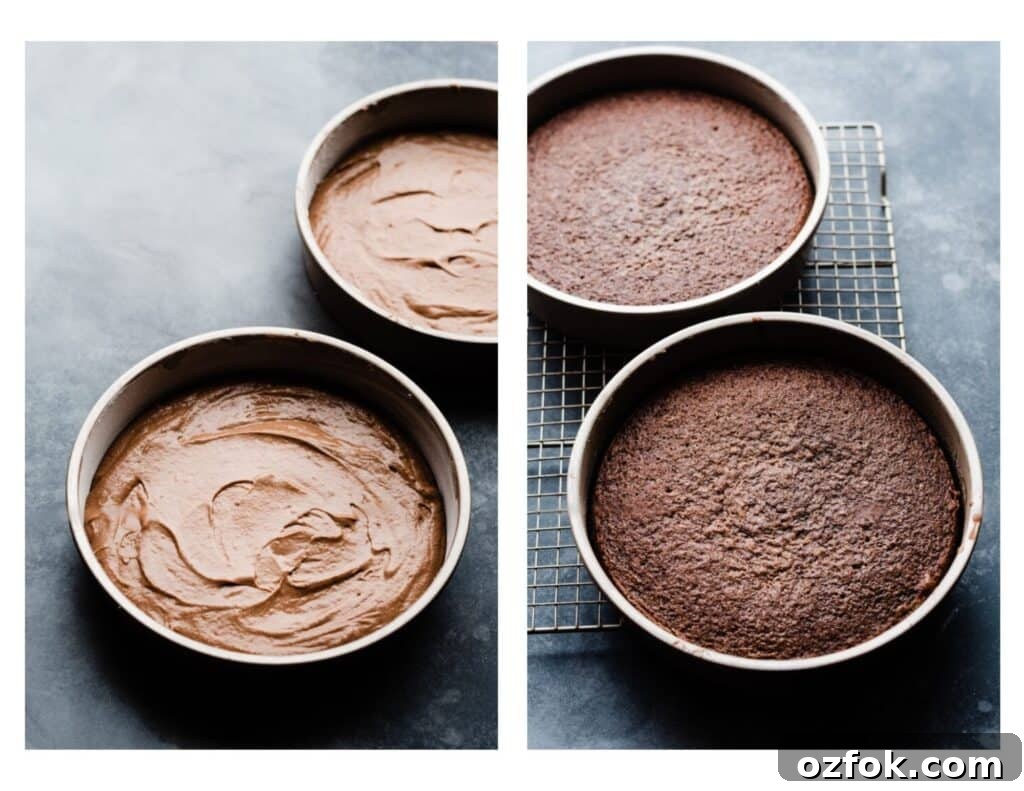 Ultimate German Chocolate Cake Recipe for Rich, Layered Flavor 7 2 images - pans of cake batter and pans of baked cake