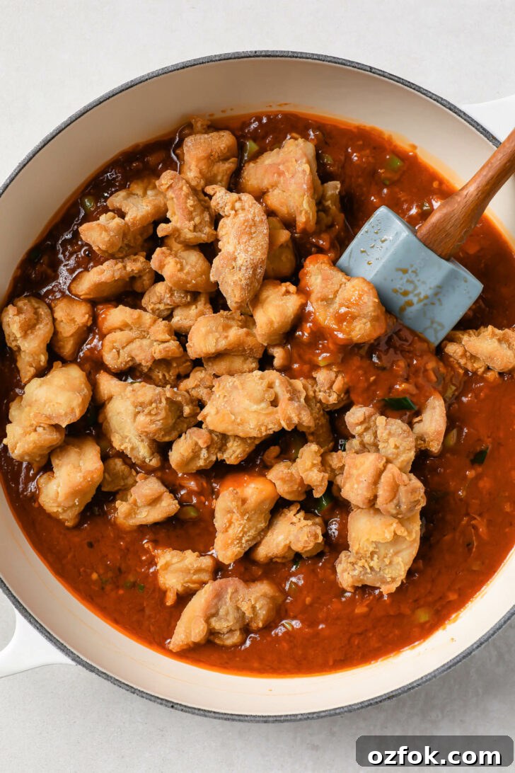 Crispy Chicken Manchurian with Tangy Gravy 9 Fried chicken in the Manchurian sauce.