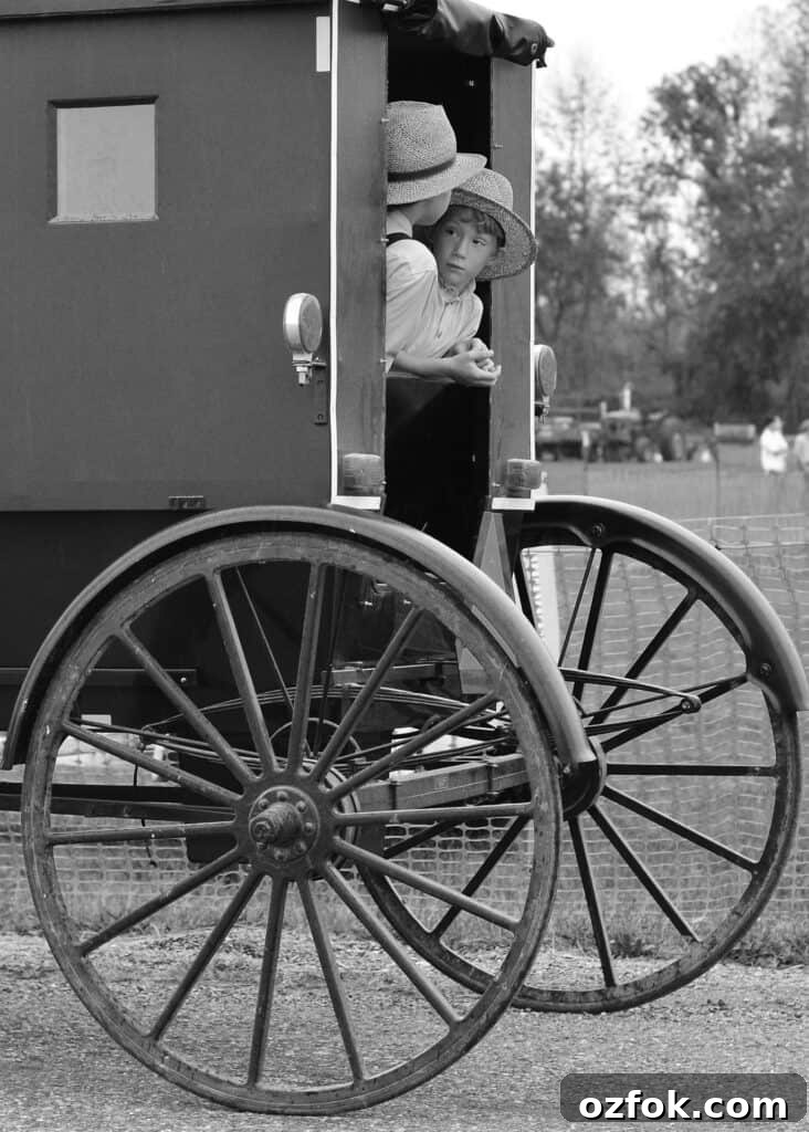 Popular Traditional Amish Baby Names: Top Picks and Meanings 2 names of Amish boys riding in a buggy.