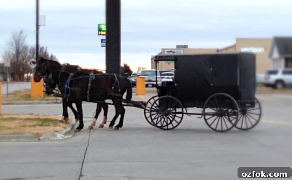 Popular Traditional Amish Baby Names: Top Picks and Meanings 3 Amish buggy with two horses tied to a post.