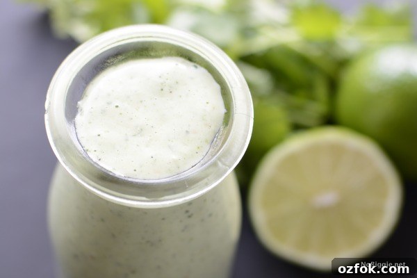 Cilantro Lime Ranch Dressing Recipe — Creamy Zesty Sauce for Salads & Tacos 11 creamy cilantro lime ranch dressing | NoBiggie.net