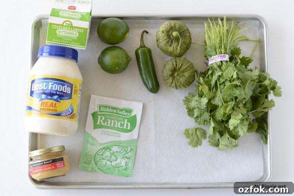 Cilantro Lime Ranch Dressing Recipe — Creamy Zesty Sauce for Salads & Tacos 4 ingredients for Cafe Rio cilantro lime ranch dressing | NoBiggie.net