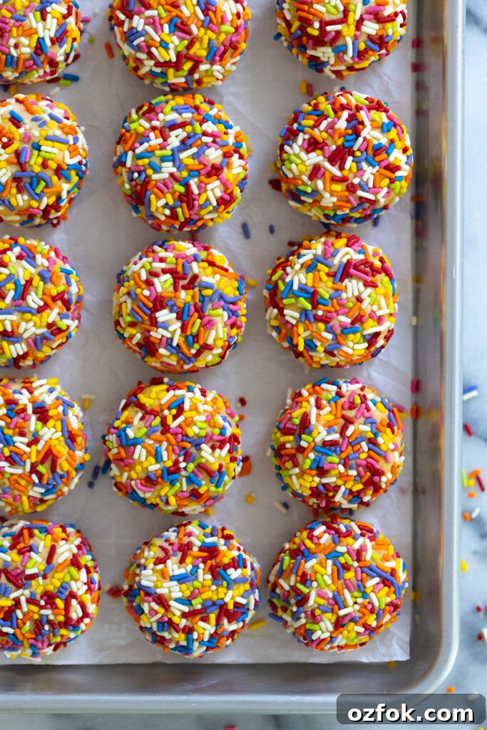 Lemon Rainbow Sprinkle Cookies Recipe — Bright Citrus Sugar Cookies 21 Lemon Rainbow Sprinkle Cookie dough chilling