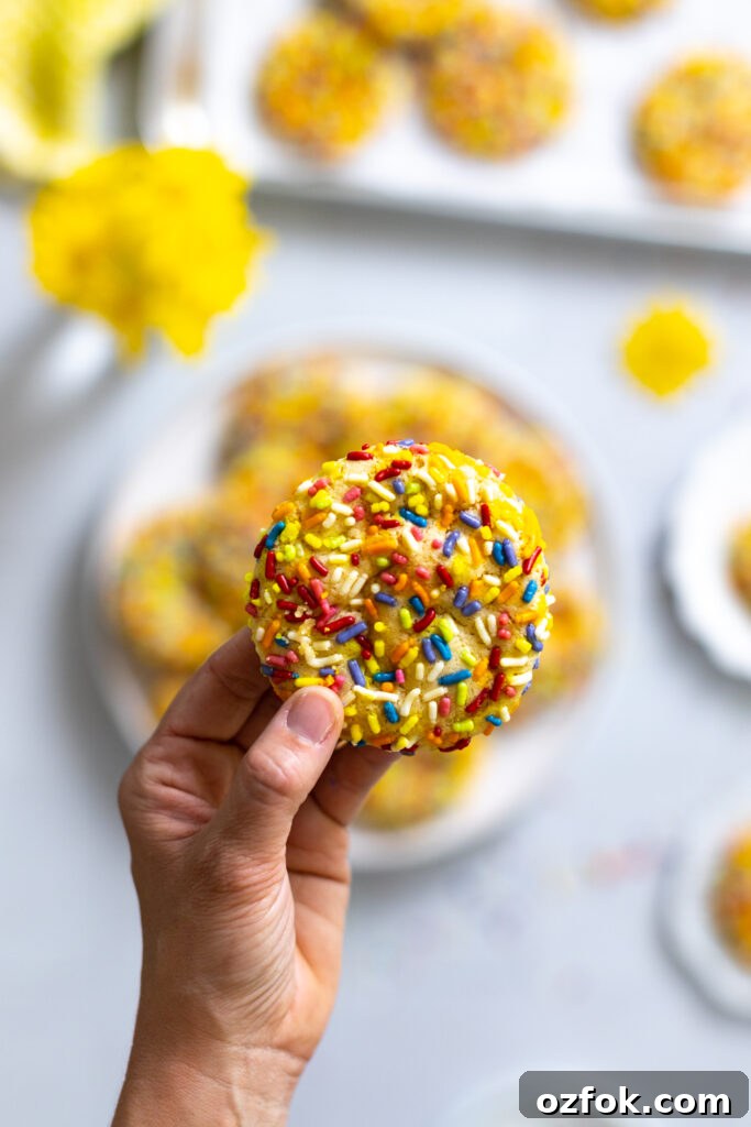 Lemon Rainbow Sprinkle Cookies Recipe — Bright Citrus Sugar Cookies 27 Lemon Rainbow Sprinkle Cookie