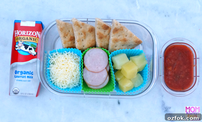 Horizon Organic School Lunch Ideas