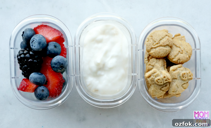 Horizon Organic School Lunch Ideas